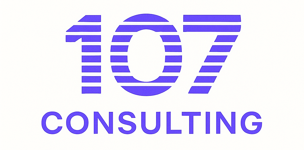 107-consulting.fr